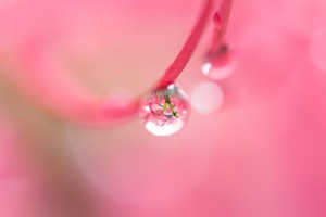 KAZ532_P9270009_TP_V1